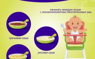 Когда можно вводить в рацион ребенка молочные каши: особенности прикорма грудничка до года и позже
