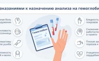 Какие продукты повышают гемоглобин в крови и какие лучше усваиваются?