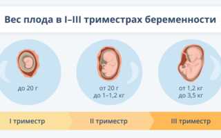 Беременность по неделям: что нужно, чтобы ребенок развивался нормально?