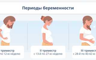 Развитие плода по неделям беременности: чудо новой жизни
