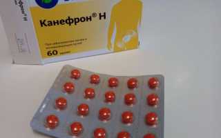 Инструкция по применению капель и таблеток “Канефрон” для детей до года и старше, аналоги препарата