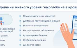 Микроэлемент железо: где содержится и какова норма потребления