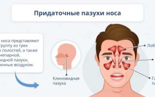 Как снять отек и восстановить слизистую оболочку носа?