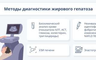 Жировой гепатоз: причины, симптомы и лечение жировой дистрофии печени