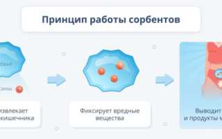 Очищение кишечника от токсинов: методики и средства