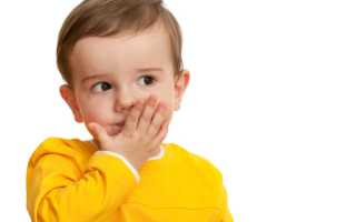 Симптомы моторной и сенсорной алалии у ребенка 3-4 лет: с чего начать занятия в домашних условиях?