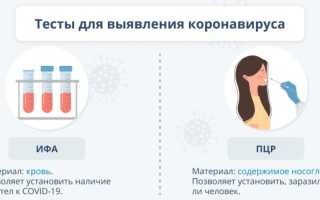 Что делать при подозрении на коронавирус и как облегчить течение болезни?