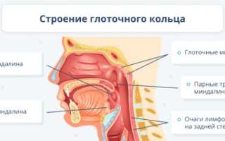 Ангина у взрослых в вопросах и ответах