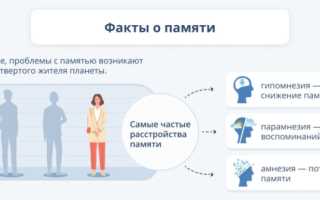 Что делать для улучшения памяти и работы мозга во взрослом возрасте?