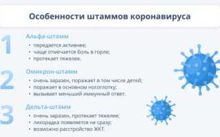 Опасные штаммы коронавирусной инфекции 2023: многоликий ковид