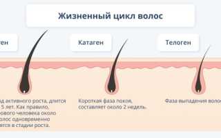 Можно ли остановить выпадение волос после коронавируса?