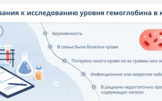 Гемоглобин в крови: норма содержания и причины отклонений