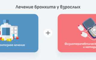Бронхит у взрослых: причины, симптомы и лечение