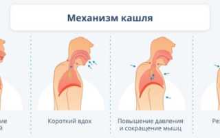 Чем рекомендуют лечить разные виды кашля при коронавирусе