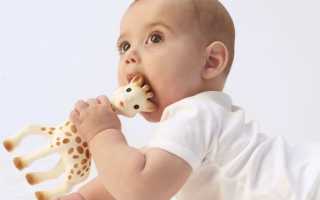 Сенсорное развитие и воспитание детей 2-3 лет: дидактические игры, занятия по сенсорике