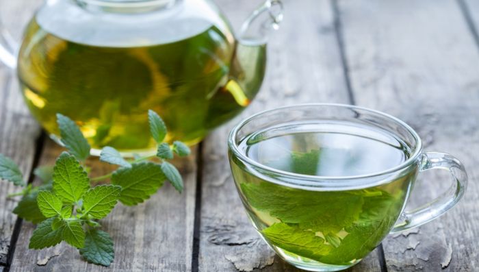 Способы употребления и полезные свойства мелиссы