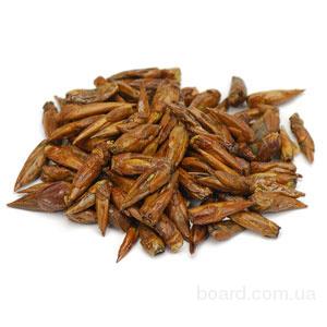 Лечение бурсита народными методами