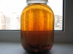 Настойка из кедровых орехов