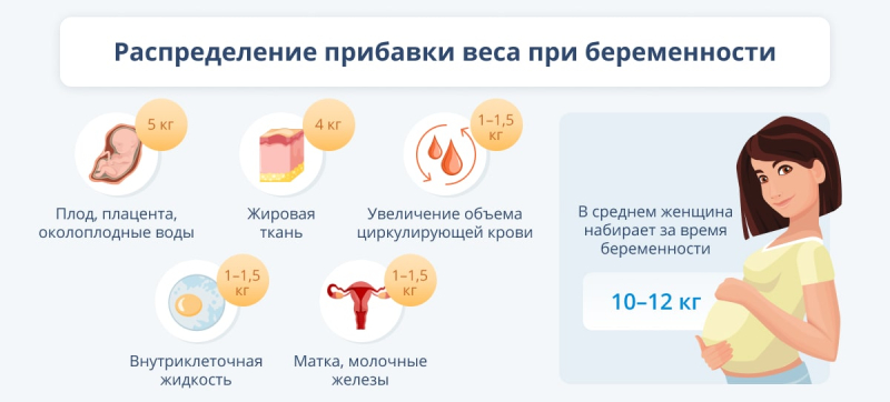 Беременность по неделям: что нужно, чтобы ребенок развивался нормально?