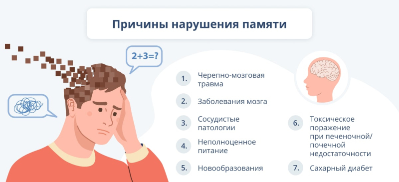Что делать для улучшения памяти и работы мозга во взрослом возрасте?