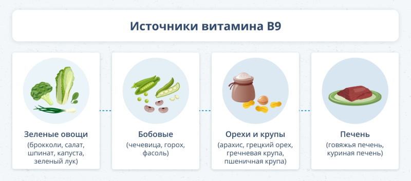 Фолиевая кислота: кому и для чего нужна, норма и отклонения