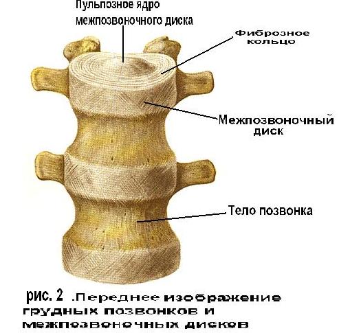 головная боль