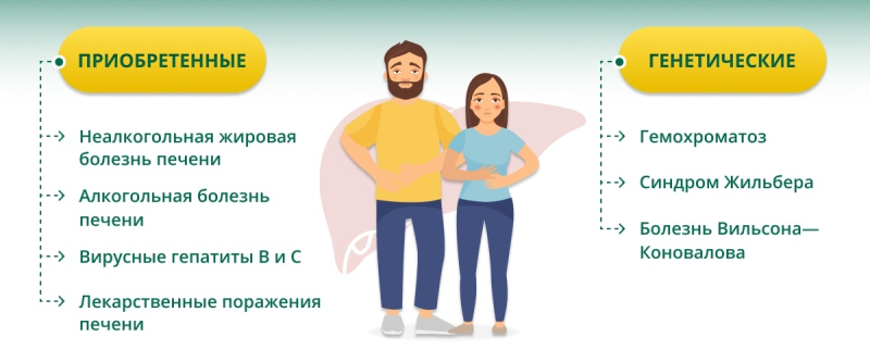 Хронические заболевания печени и их проявления: как не пропустить «первые звоночки» и что можно сделать?