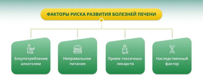 Хронические заболевания печени и их проявления: как не пропустить «первые звоночки» и что можно сделать?