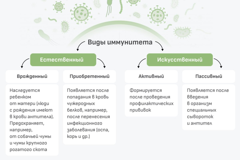 Как лечат коронавирус в домашних условиях: препараты и подходы
