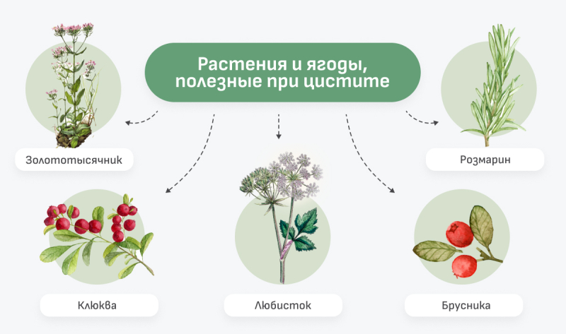 Как проявляется цистит у женщин: симптомы и лечение заболевания