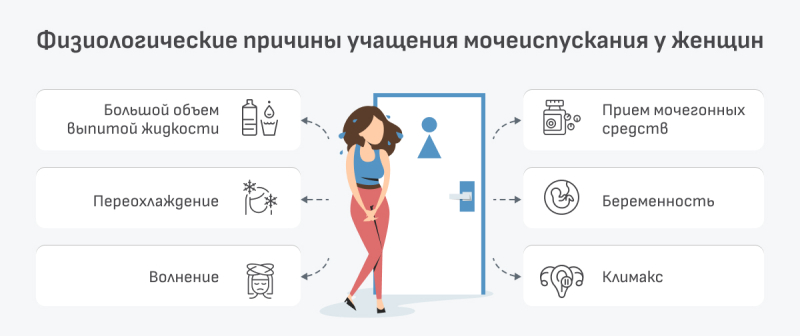 Когда терпеть нет мочи: частые позывы к мочеиспусканию у женщин