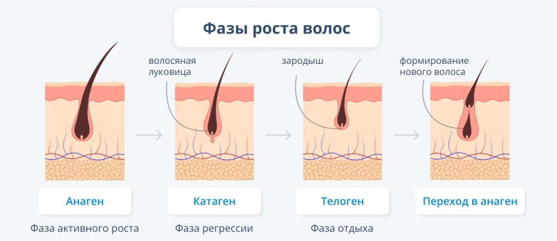 Методы борьбы с лысиной у мужчин: можно ли остановить облысение
