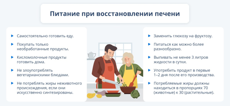 Очищение печени и восстановление ее функций в домашних условиях