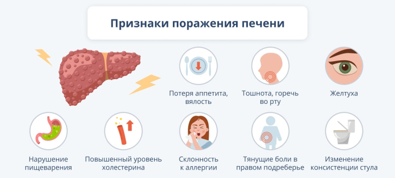 Поражение печени: виды и причины, симптомы и лечение