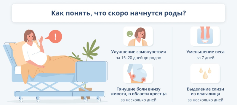 Развитие плода по неделям беременности: чудо новой жизни