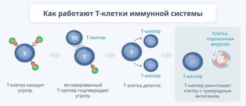 Спрей Тимоген® для защиты иммунитета — болеть невыгодно
