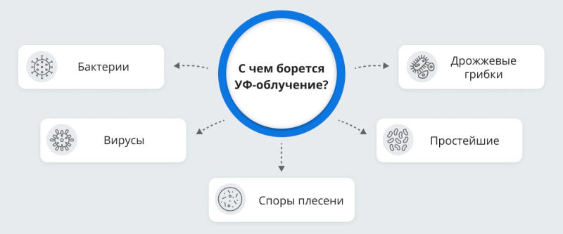 Выбираем облучатель-рециркулятор для дома
