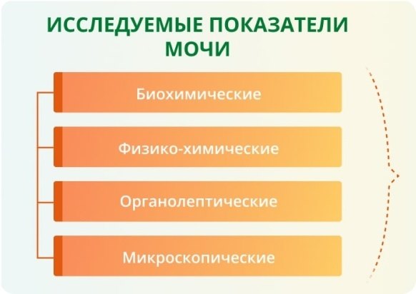 ЗППП и ИППП у мужчин и женщин