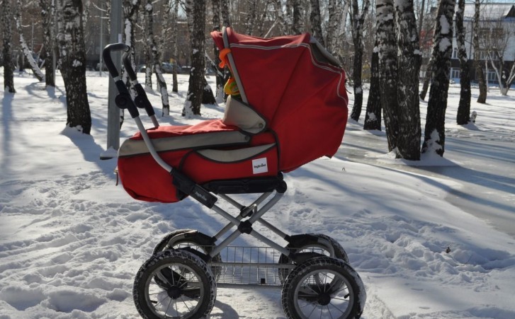 Inglesina Magnum