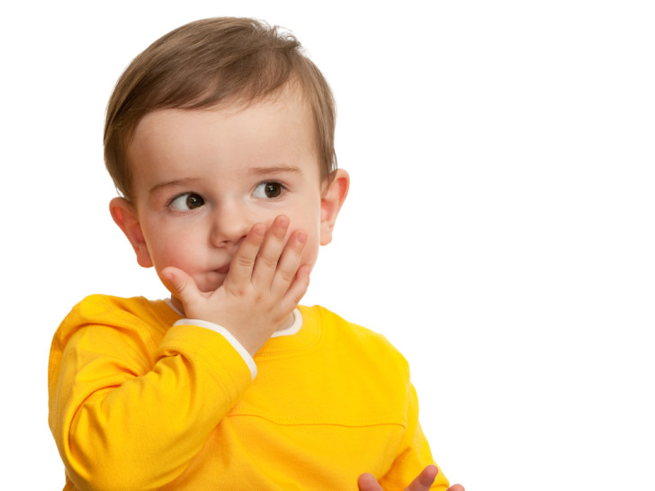 shutterstock_48208105