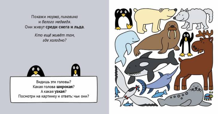 Учим цвета и счет (Манн-Иванов-Фербер) Учим цвета и счет (Манн-Иванов-Фербер)