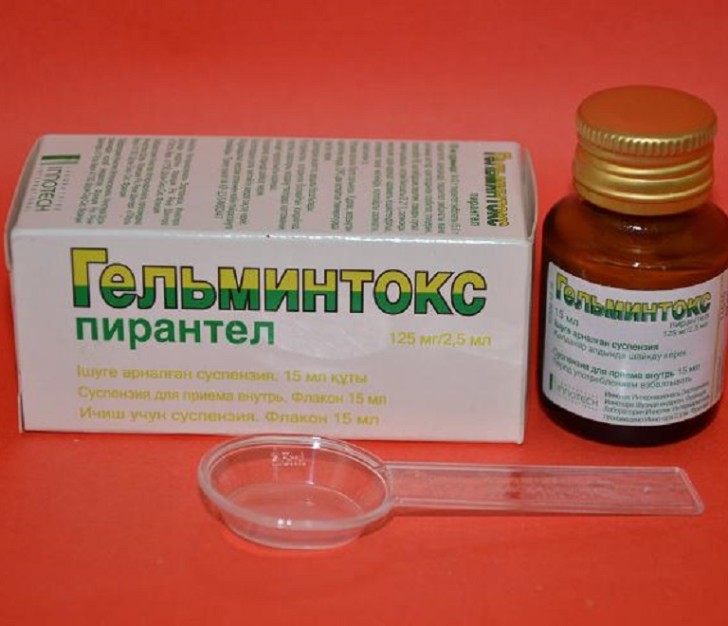 Гельминтокс Гельминтокс